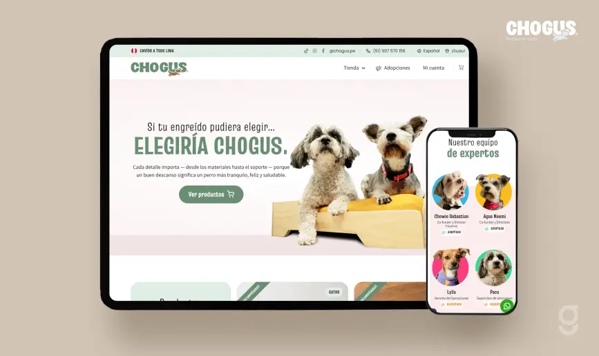 Chogus